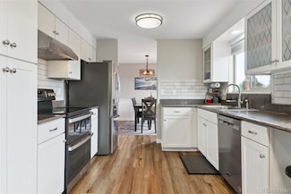 8746 E Sunridge Hollow Rd, Parker, CO 80134