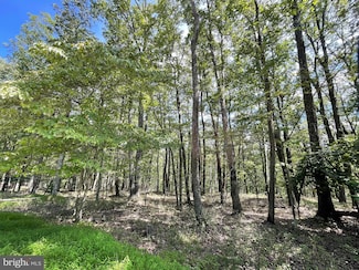 123 Spring Mountain Dr, North Union Township, PA 17985