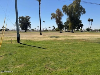 10621 W Oakmont Dr, Sun City, AZ 85351