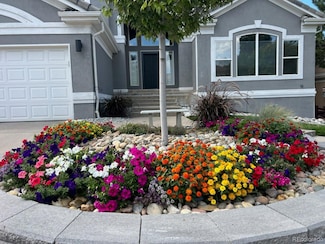 9647 Colinade Dr, Lone Tree, CO 80124