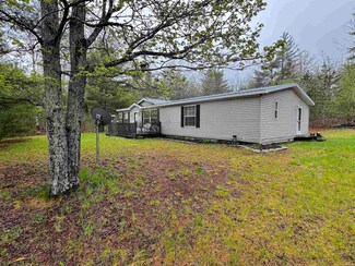 15500 Riverside Trail, Wolverine, MI 49799