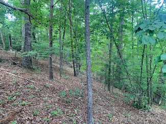 0 Bluebird Terrace, Lake Lure, NC 28746