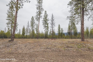 L5 B1 Wallace Ln, Blanchard, ID 83804