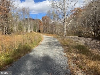 TBD Adolph Cassity, Mill Creek, WV 26280