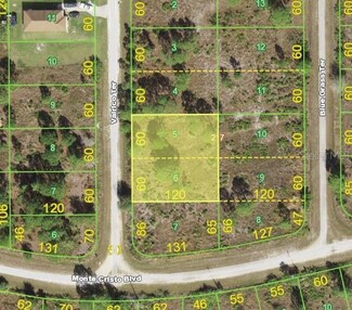 13288 Valrico Terrace, Punta Gorda, FL 33955