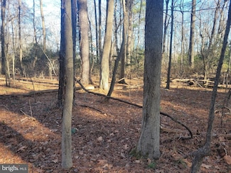 Lot 13 Holiday Ln, Hague, VA 22469
