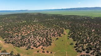 39.93 ACRE W Titan Ranch Rd Unit 318, Seligman, AZ 86337