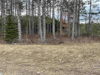 6234 U S 131, Kalkaska, MI 49646