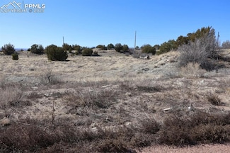 254 N Amache Ln, Pueblo West, CO 81007