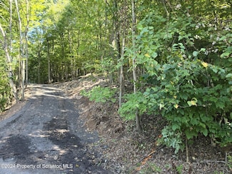 L87 Eastwoods Rd, Tunkhannock Township, PA 18657