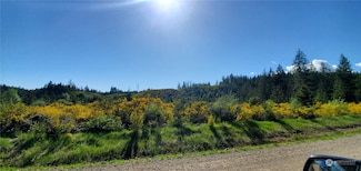 0 W California Rd, Shelton, WA 98584