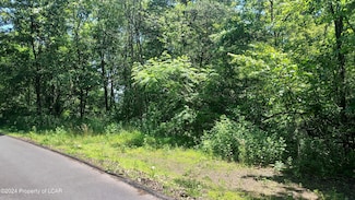 0 Jersey Rd Hunlock St Unit 24-2801, Plymouth, PA 18651