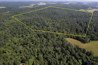 0 Dan Station Rd Unit 92400, Olaton, KY 42361