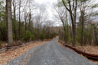 0 Toms Park Ln, Fulks Run, VA 22830