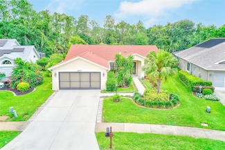 6250 Fairskies Dr, New Port Richey, FL 34655