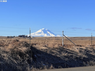 323 Roosevelt St, Centerville, WA 98613
