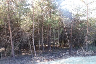 585 Morlin Acres Dr Unit 33, Marshall, NC 28753