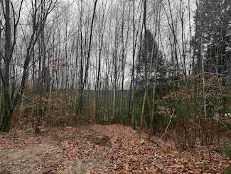 196 Old Pound Rd, Effingham, NH 03882