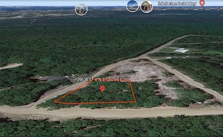 0 Donovan Ave Unit 25201475, Interlachen, FL 32148