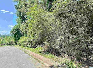 2520 Janice Cir NE, Birmingham, AL 35235