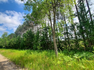 80 ACRES Beall Rd, Bear Lake, MI 49614