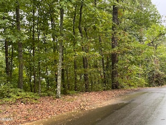 2643/2647 Sawmill Branch Dr, Sevierville, TN 37862