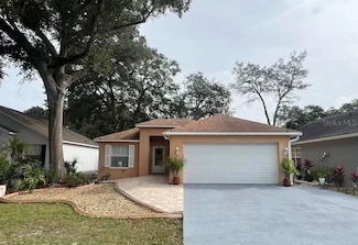 8711 Busch Oaks St, Tampa, FL 33617
