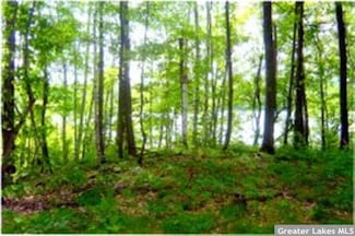 Tract B 637th Ln, Jacobson, MN 55752