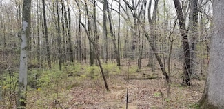 36200 Maier St, Bloomingdale Township, MI 49055