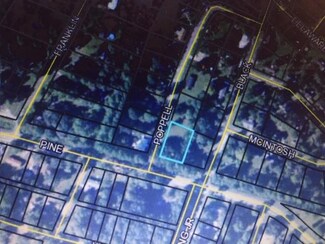 Lot 15 Poppell Dr, Darien, GA 31305