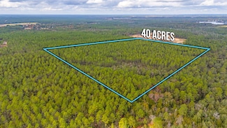 40 Acres Brooklyn Dr, Defuniak Springs, FL 32433