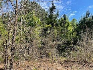 0 County Road 213, Abbeville, AL 36310