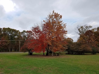 775 New Jersey 54, Buena Vista Township, NJ 08094