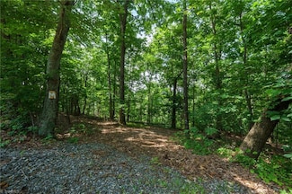 00 Hendren Rd, Moravian Falls, NC 28654