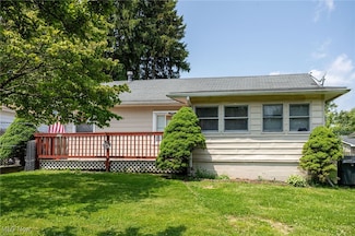 230 Ripley Ave, Akron, OH 44312