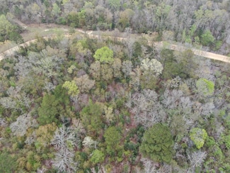 Lot #1 Tanglewood Dr, Georgetown, GA 39854
