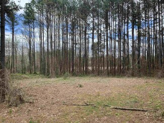 2304 Warren Plains Rd, Warrenton, NC 27589