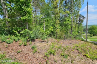 0 Sutherland Dr, Helenwood, TN 37755