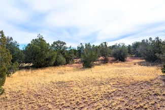 Loba Ln, Seligman, AZ 86322