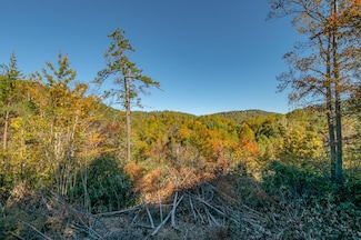 Lot 22 Starry Nights Dr, Fancy Gap, VA 24328