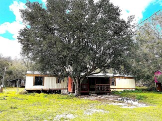 6809 Muscadine Ln, Plant City, FL 33565