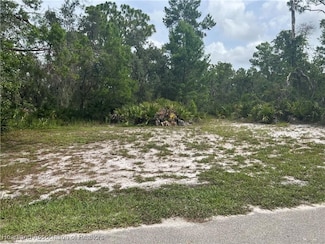 3259 Forrest View Ave, Lake Placid, FL 33852