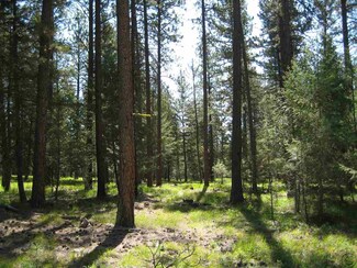 NHN Wambli Ln, Huson, MT 59846