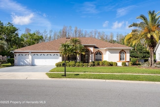 21312 Preservation Dr, Land O Lakes, FL 34638
