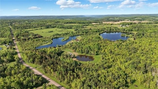 11231 Gloades Corners Rd, Pulteney, NY 14874