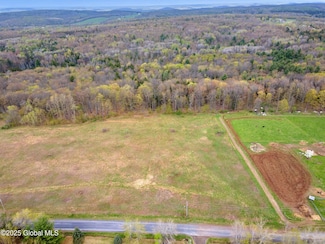 L18 Wylie-Horton Rd, Greene, NY 13778