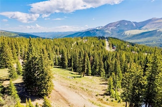 46 Robertson Ln, Breckenridge, CO 80424