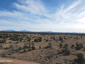 5373 Red Butte Rd, Williams, AZ 86046