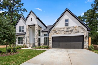 208 Lilac Tree Ct, Willis, TX 77318