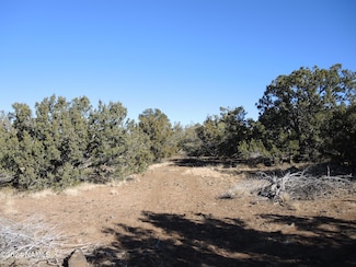 627 E Hualpai Trail, Williams, AZ 86046